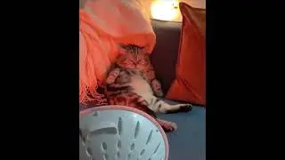 На курорте...