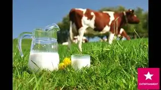 Qué riesgos tiene beber leche cruda
