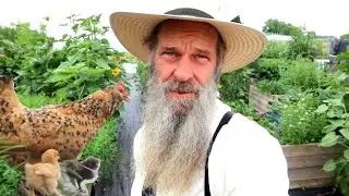 The CHICKEN VIDEO you need to see!