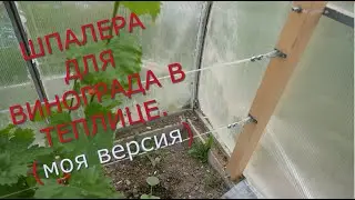 Шпалера для винограда в теплице.