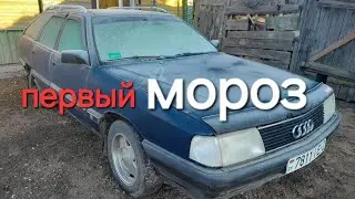 работа ДВС Ауди 100С3 первый мороз