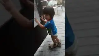 Strange monster in my back yard
