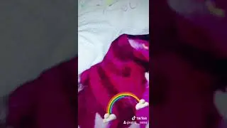 Sema tik tok(3)