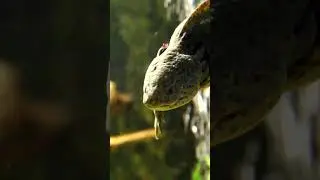 Подписывайтесь на нашу группу "Аксолотль" в ВК.
