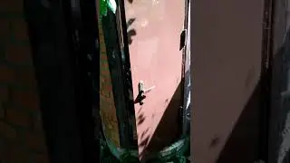 замена двери дачного туалета