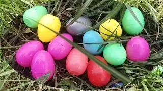 waoow .. ! menemukan telur dan menghitungnya