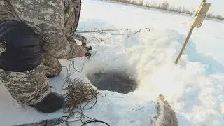 Не  много  интересного  и  едем  проверять  перемёт  на р  Обь.
