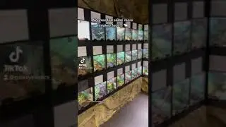DFW REPTARIUM VISIT