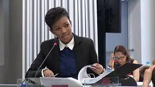 Commission of Inquiry into State Capture_Testimony First National Bank