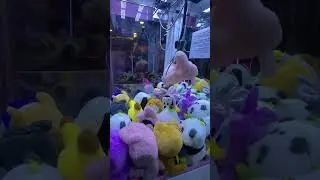 Playing claw machine for first time in 
