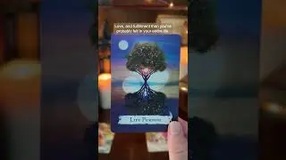 You Are About to Be Blessed | #tarot #tarotreading