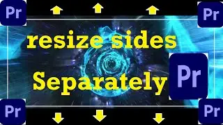 How to Resize Height and Width separately in Adobe Premiere Pro without loosing edge content.