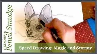 Speed Drawing: Stormy and Magic Pet Portrait