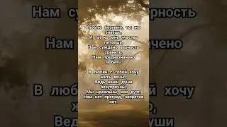 Очень красивый стих о любви ❤️