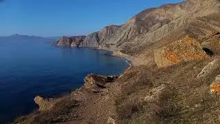 Wildlife of Crimea