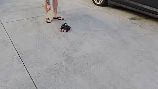 Brushless Sumo Robot Testing