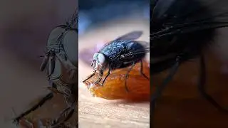 Частинка творчості
