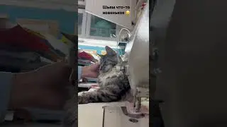 Как дела? С наступившим Новым Годом!!! Здоровья и терпения! Будьте сильными и счастливыми!