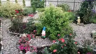 Мой сад 2019