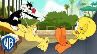 Looney Tunes | Tweety at the Zoo | @WB Kids