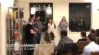 Sledgehammer - A Cappella Cover - Concrete Rooftop Concert