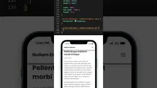Page Scroll Progress Bar 