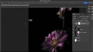 REC 20221126 Photoshop flickering