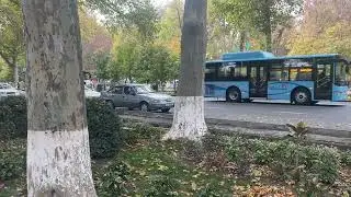 Samarqand shahriga yangi avtobus qo’yilishi mumkin!