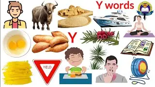 Y Letter Words | Vocabulary Words With Y | English Vocabular | Yak | Yoga | Yacht | Yellow | Yummy
