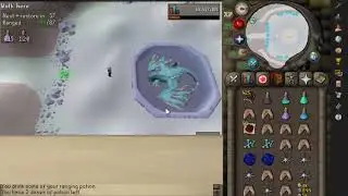 VORKATH KILLS DHCB