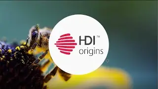 HDI Origins | Royal Jelly Tablet & Liquid