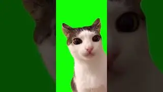 перевёрнутые мемы часть 2