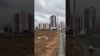 Лошица 8