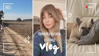 VLOG 531 / змінила колір волосся / жовтень 2024