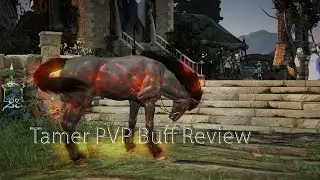 Tamer Awakening PVP Buff May 26 2021 review