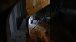 Stevedore working inside dark cargo hold #safetyfirst #sealife #riskmanagement