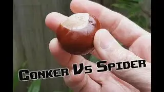 Conker Vs Spider