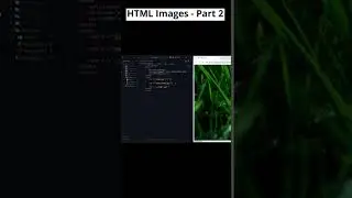 Mastering HTML Image Tags: Using Relative Paths in src Attribute! 