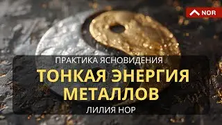 Тайны Золота и Серебра: Магическое Использование Металлов/ Лилия Нор подсказывает