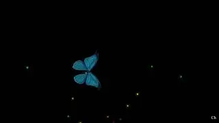 butterfly 39 || free status video || black screen effect