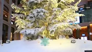 WHITE KITTE (Christmas) in the Marunouchi area