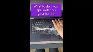 Spilled water on your laptop? Here's what to do 