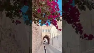 the HOLY city 🕊️ #wow #incredible #jerusalem #israel #holy #travel #bible #biblical