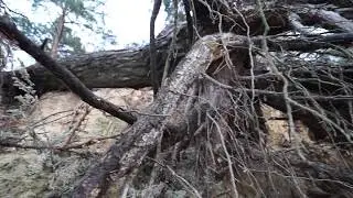 берег