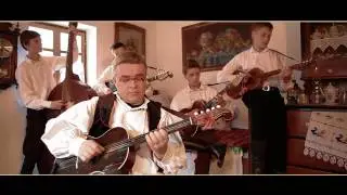Vlado Bašić / Pudarice / TS Zlatna polja - Tebi pjevam majko Slavonijo