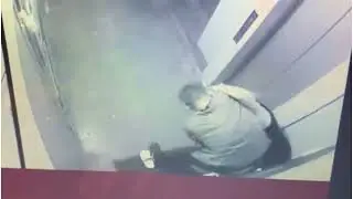 Полицейские Всеволожского района задержали грабителя