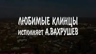 А Вахрушев ЛЮБИМЫЕ КЛИНЦЫ