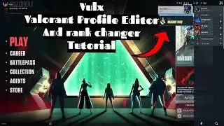Vulx - Valorant Profile Editor Tutorial