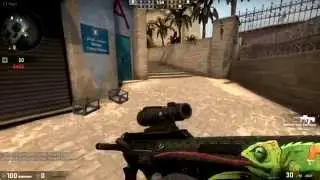 Counter Strike: Global Offensive