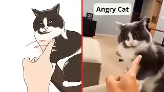 Funniest Animals 2023 😂 Funny Cat Memes 😍 Funny Cats Drawing Meme | FUNNY DRAWINGS OF CATS